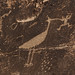 03-15-12: Petrified Forest Petroglyphs