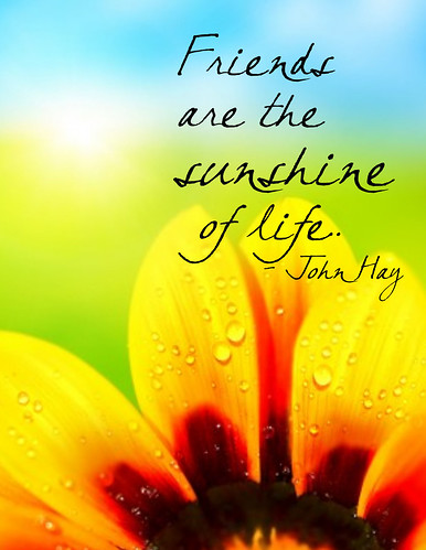 "Friends are the sunshine of life." John Hays