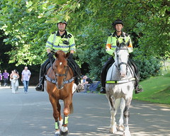 Merseyside Police ~