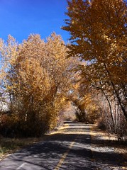 November 5, 2012 (Provo River Trail)