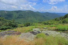 Appalachian Mountain Balds and Outcrops
