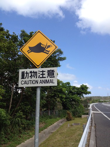 Caution Animal