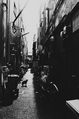  無料写真素材, 建築物・町並み, 都市・街, 猫・ネコ, 街角, 風景  日本, 日本  東京, モノクロ  