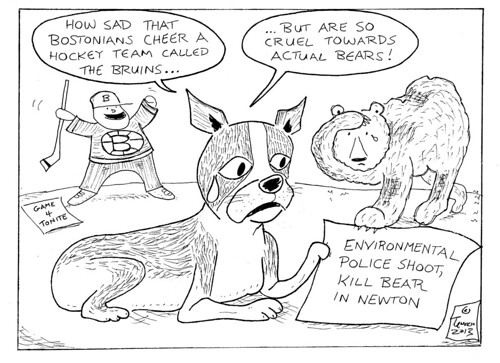Bruins-Bear Cartoon by rbtenorio
