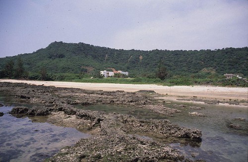 1992年萬里桐潮間帶。背景為悠活度假村未開發之前的景象（攝影：趙世民）