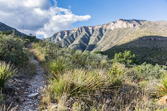 guadalupe np