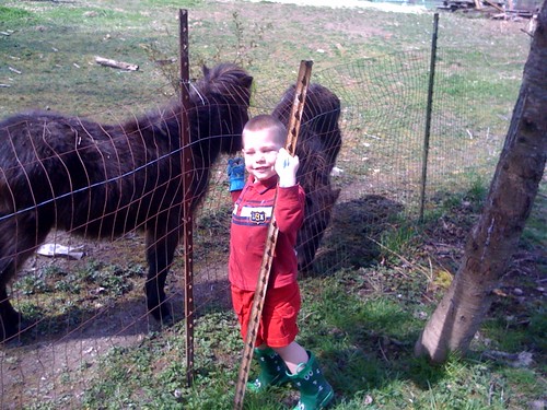 Connor hanging out with the minis next door :)