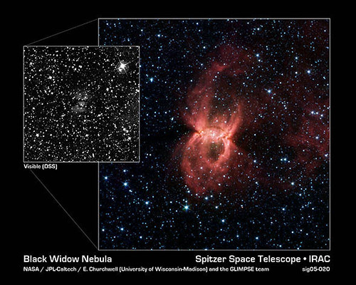 Black Widow Nebula Hiding in the Dust
