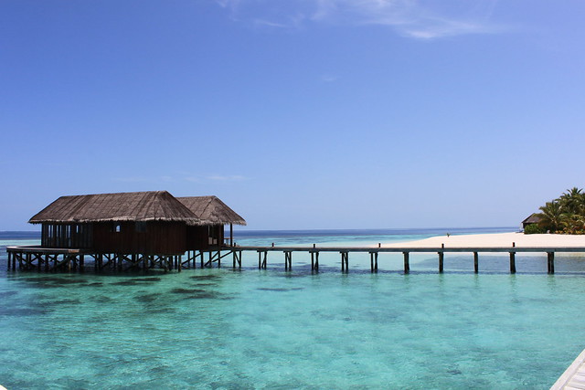 Maldivas Inolvidable - Blogs de Maldivas - Mirihi La Isla (11)