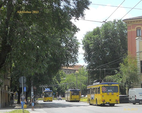 2 filobus Socimi ed un filosnodato in viale Molza - linee 6 e 7