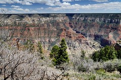 Grand Canyon North Rim, Arizona - 2015