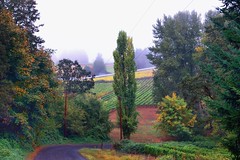 Oregon 2012