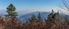 Mt. Leconte, Great Smoky Mountains Nat'l Park, November 2016