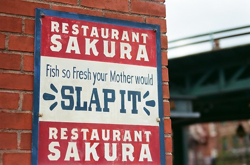 fish so fresh your mother would slap it.