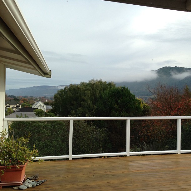 The view from the house we are hoping to buy. Not the best day to show it off but I love it I love it!!