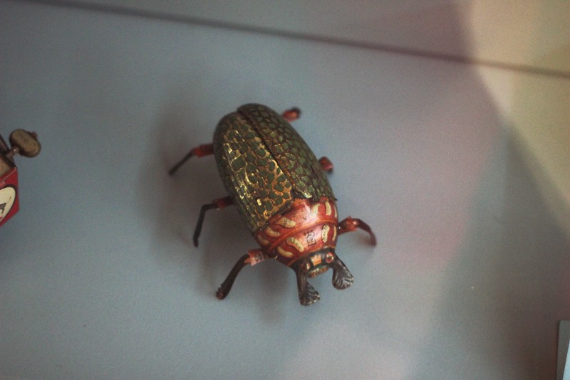 the crawling beetle