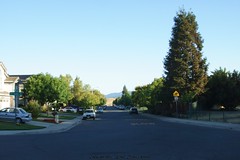 			Klaus Naujok posted a photo:	Back to my neighborhood. This is the street view from my front yard, looking east.