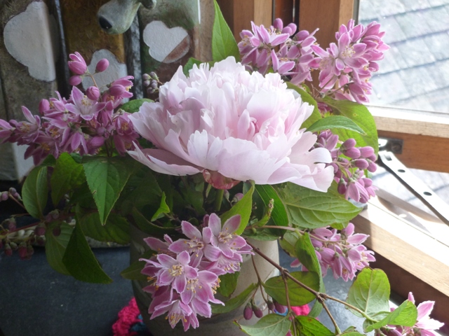 Deutzia Longifolia (just looked that up!) and a peony from the garden