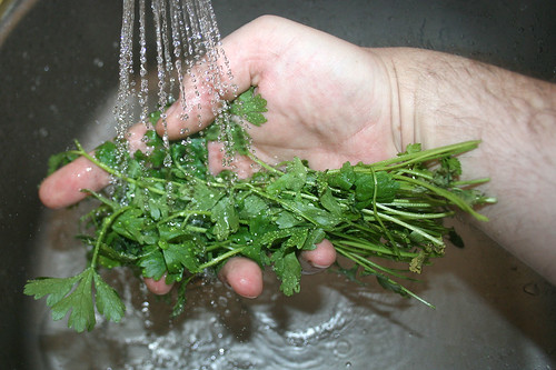 26 - Petersilie waschen / Wash parsley