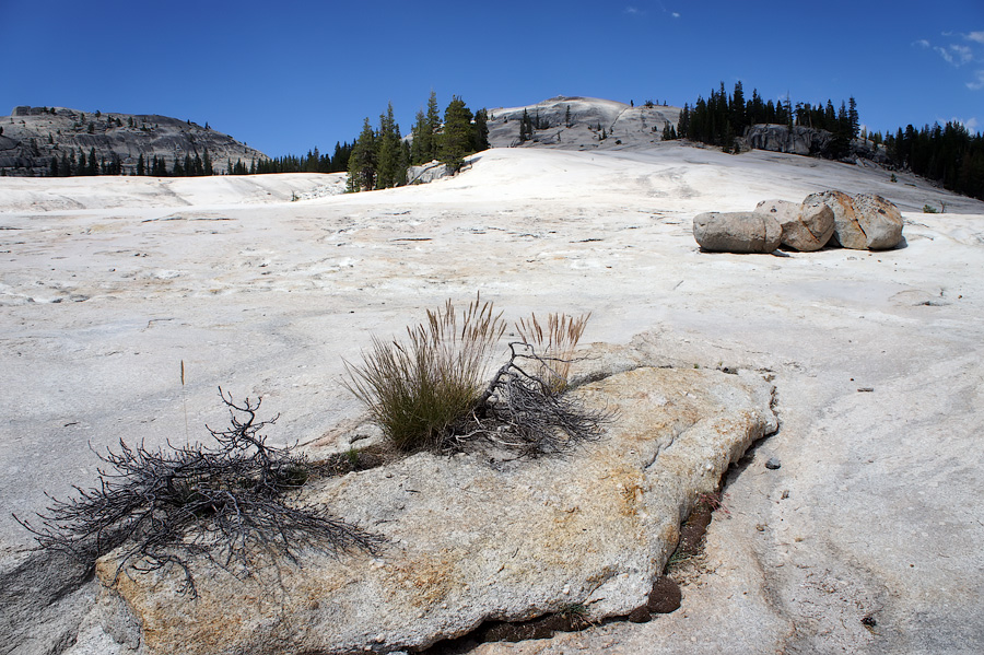 Йосемитский национальный парк (Йосемити), США 2013