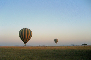 Ballonfahrt (Serengeti)