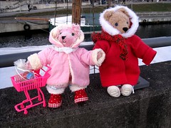 Adventszeit mit den Teddys