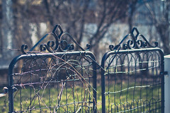 clôture/fence
