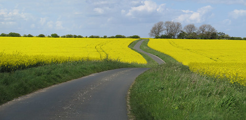 The Road to Burnham