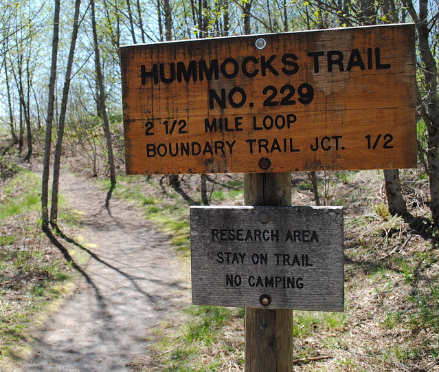 Hummocks Trailhead #229 - Mt St Helens