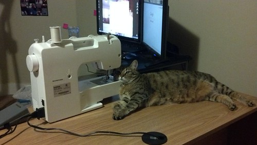 Kitty and the sewing machine