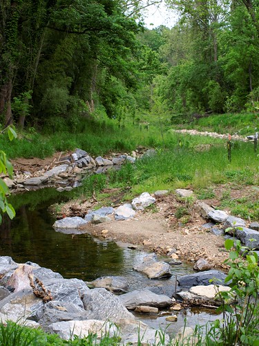 Image of a restored section of Booze Creek
