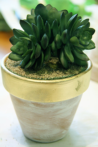 Closeup-of-a-finished-plant