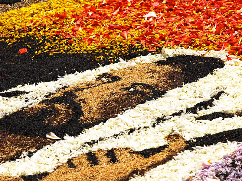 A completed flower carpet in La Orotava