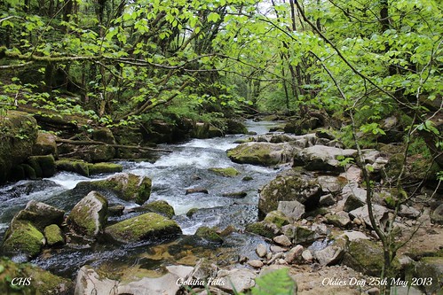 Golitha Falls by Stocker Images