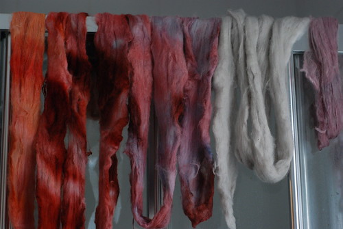 Hand dyed combed top - angora merino, superwash merino, and Shetland