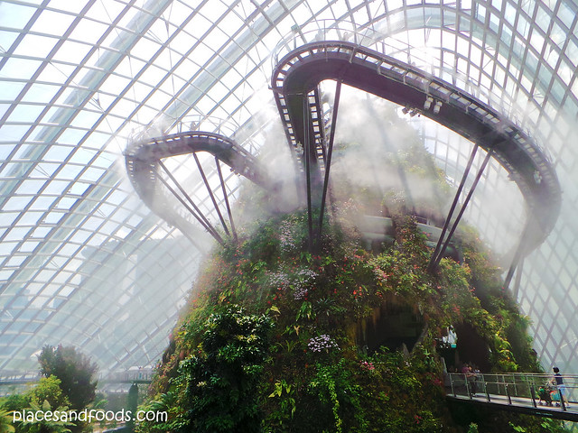 cloud forest misty overview