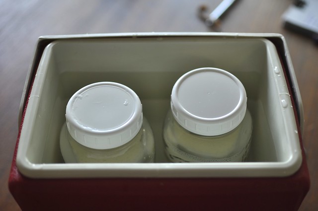 jars of milk in cooler