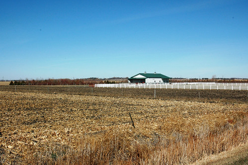 The shelterbelt on Ken Mouw’s farm protects his fields, livestock and facilities from South Dakota’s harsh wintry weather.
