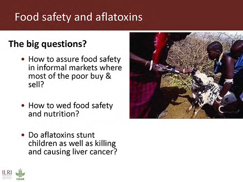 Food safety and aflatoxins