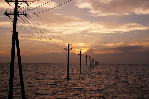utility poles into the sea 03