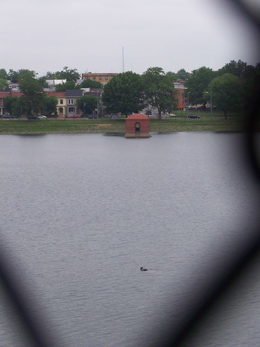 Looking through the Fence at McMillan Reservoir