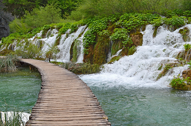 Path leading to Gavanovac Lake, Plitvice Lakes National Park, Croatia
