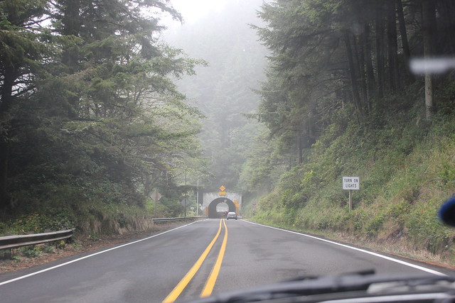 Highway 101, Tunnels and bridges