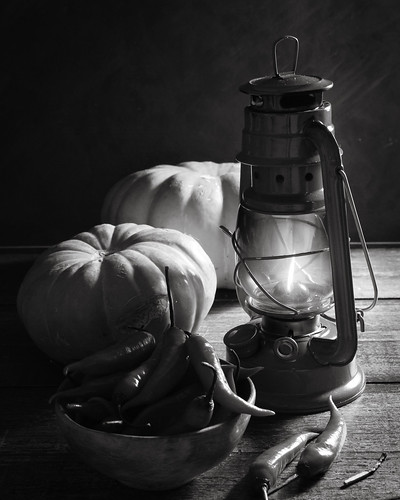 pumpkins and chilli (bw) by Luiz L.
