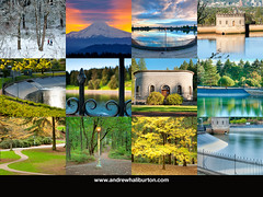 Mount Tabor Park 2017 Calendar