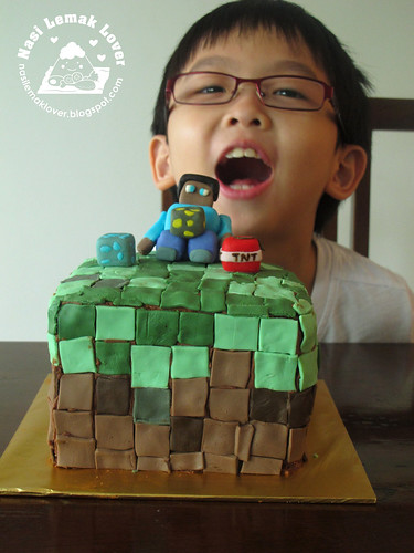 He is 8 years old now, a Minecraft fondant cake