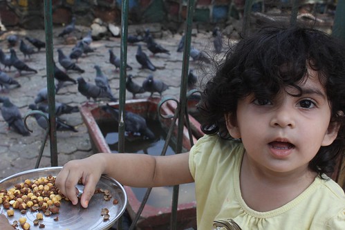 Nerjis Feeding The Pigeons Bandra Talao by firoze shakir photographerno1