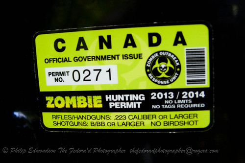 Zombie Hunting