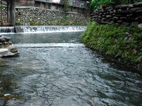 二峰圳的潔淨水源，洪郁婷攝。