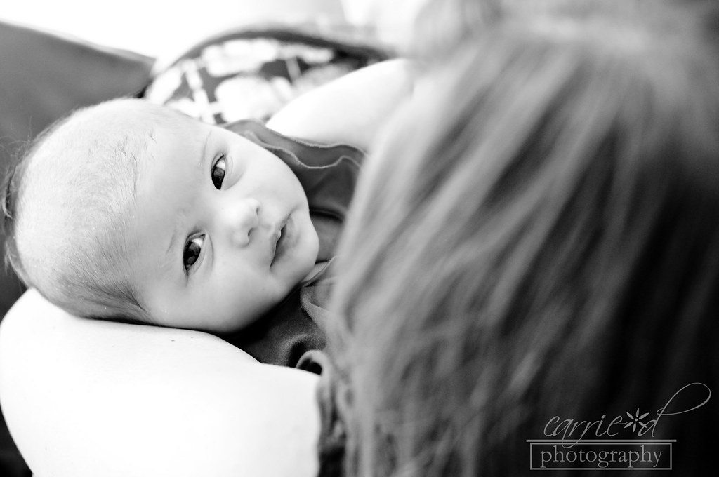 Towson Newborn Photographer - Towson Child Photographer - Towson Family Photographer - Alaina 6-3-2012 154BLOG